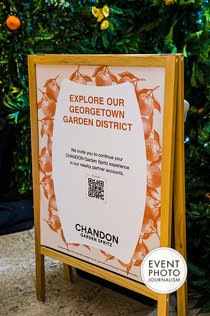 0161__6-11-22__PSP-Media-Chandon-Garden-Spritz-Georgetown-EventPhotojournalism-event-photographers-DC