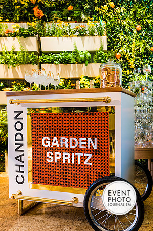 0439__6-11-22__PSP-Media-Chandon-Garden-Spritz-Georgetown-EventPhotojournalism-event-photographers-DC