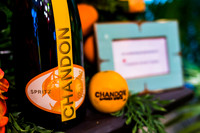 0019__6-11-22__PSP-Media-Chandon-Garden-Spritz-Georgetown-EventPhotojournalism-event-photographers-DC