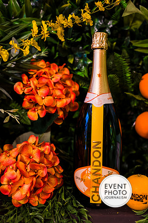 0006__6-11-22__PSP-Media-Chandon-Garden-Spritz-Georgetown-EventPhotojournalism-event-photographers-DC