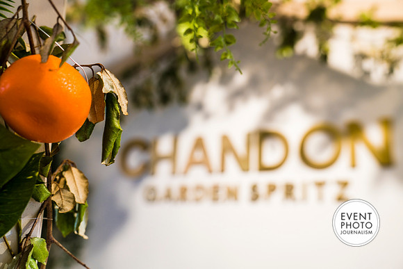 0420__6-11-22__PSP-Media-Chandon-Garden-Spritz-Georgetown-EventPhotojournalism-event-photographers-DC