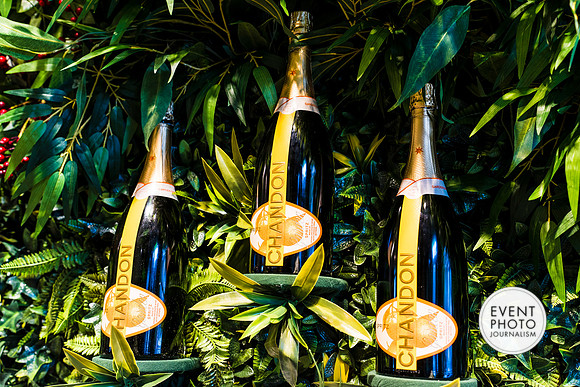 0384__6-11-22__PSP-Media-Chandon-Garden-Spritz-Georgetown-EventPhotojournalism-event-photographers-DC