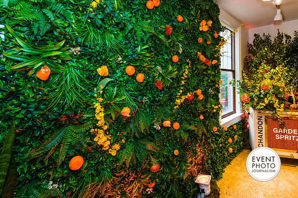 0295__6-11-22__PSP-Media-Chandon-Garden-Spritz-Georgetown-EventPhotojournalism-event-photographers-DC
