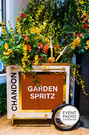 0109__6-11-22__PSP-Media-Chandon-Garden-Spritz-Georgetown-EventPhotojournalism-event-photographers-DC