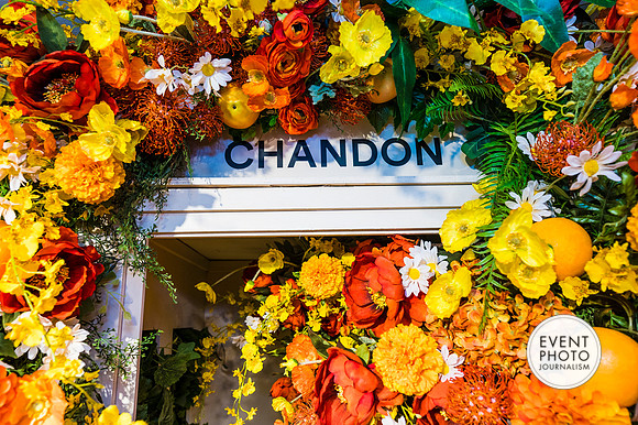 0308__6-11-22__PSP-Media-Chandon-Garden-Spritz-Georgetown-EventPhotojournalism-event-photographers-DC