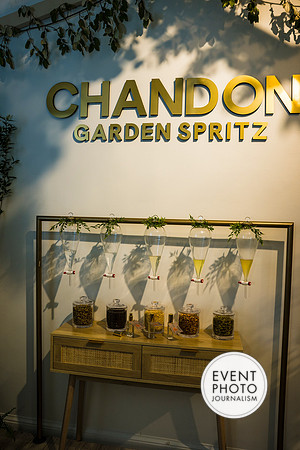 0196__6-11-22__PSP-Media-Chandon-Garden-Spritz-Georgetown-EventPhotojournalism-event-photographers-DC