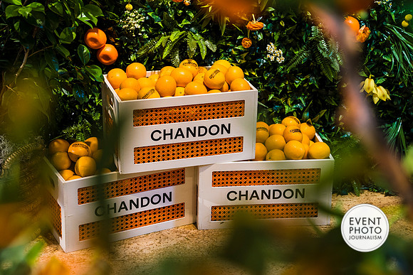 0292__6-11-22__PSP-Media-Chandon-Garden-Spritz-Georgetown-EventPhotojournalism-event-photographers-DC