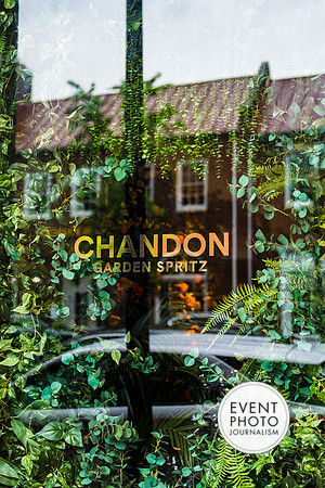 0366__6-11-22__PSP-Media-Chandon-Garden-Spritz-Georgetown-EventPhotojournalism-event-photographers-DC
