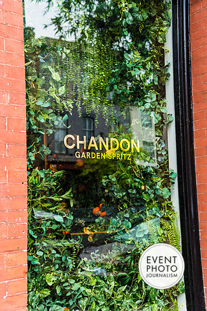 0379__6-11-22__PSP-Media-Chandon-Garden-Spritz-Georgetown-EventPhotojournalism-event-photographers-DC