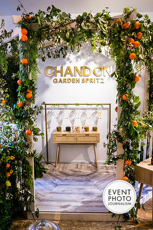 0458__6-11-22__PSP-Media-Chandon-Garden-Spritz-Georgetown-EventPhotojournalism-event-photographers-DC