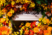 0008__6-11-22__PSP-Media-Chandon-Garden-Spritz-Georgetown-EventPhotojournalism-event-photographers-DC