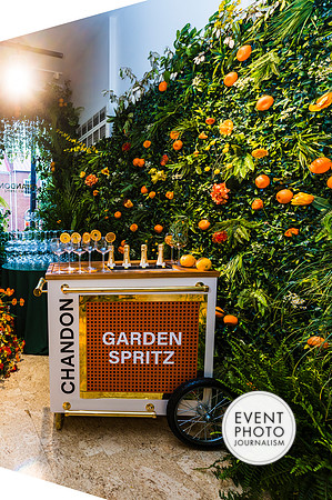 0126__6-11-22__PSP-Media-Chandon-Garden-Spritz-Georgetown-EventPhotojournalism-event-photographers-DC