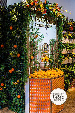 0274__6-11-22__PSP-Media-Chandon-Garden-Spritz-Georgetown-EventPhotojournalism-event-photographers-DC