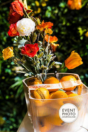 0270__6-11-22__PSP-Media-Chandon-Garden-Spritz-Georgetown-EventPhotojournalism-event-photographers-DC