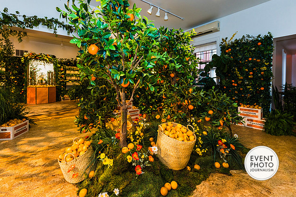 0094__6-11-22__PSP-Media-Chandon-Garden-Spritz-Georgetown-EventPhotojournalism-event-photographers-DC
