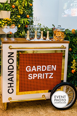 0408__6-11-22__PSP-Media-Chandon-Garden-Spritz-Georgetown-EventPhotojournalism-event-photographers-DC
