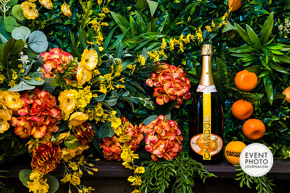 0319__6-11-22__PSP-Media-Chandon-Garden-Spritz-Georgetown-EventPhotojournalism-event-photographers-DC