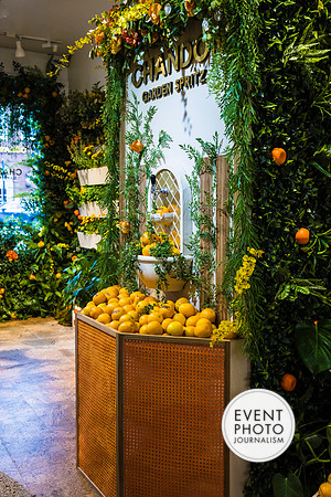 0082__6-11-22__PSP-Media-Chandon-Garden-Spritz-Georgetown-EventPhotojournalism-event-photographers-DC