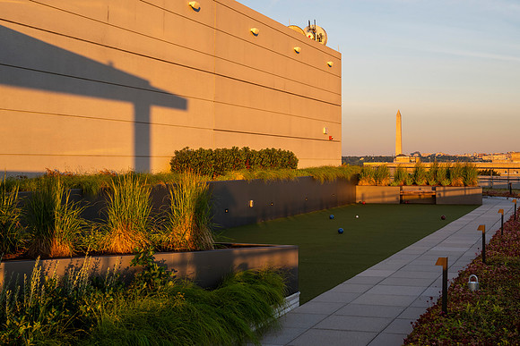 1135_-HDR-2