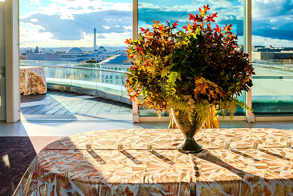 0002__101-Constitution-Roof-Top-Terrace-Washington-DC-Event-Photojournalism-photography