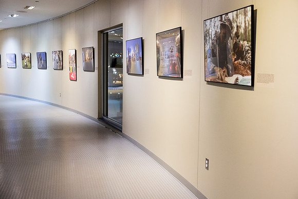 0091_11-13-25_PWC-Make-your-Mark-Awards-Museum-of-The-Marine-Corp-Triangle-VA-Event-Photojournalism-photography
