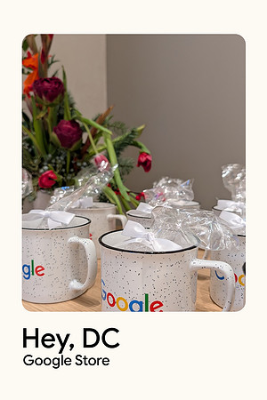 0011__12-1-25_Inkling-LLC-Google-Store-Google-Pixel-Step-Repeat_Georgetown-DC-Event-Photojournalism-event-photography