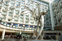 0297__08-30-22___ISFG 2022-Washington-DC-Marriott-Marquis-Hotel--EventPhotojournalism-conference-photographers