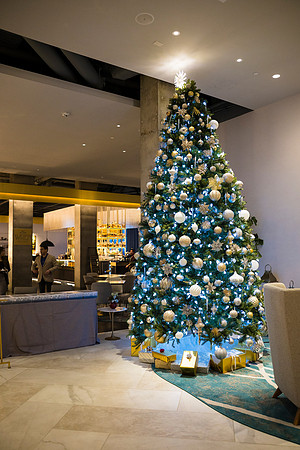 0005__12-5-25__Harmonia-Maveris-Holiday-Party-Wren-Restraurant-Tysons-Virginia-Event-Photojournalism-event-photography