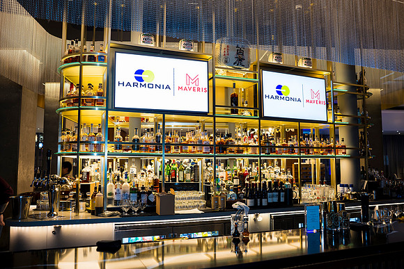 0041__12-5-25__Harmonia-Maveris-Holiday-Party-Wren-Restraurant-Tysons-Virginia-Event-Photojournalism-event-photography