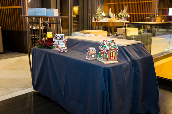 0045__12-5-25__Harmonia-Maveris-Holiday-Party-Wren-Restraurant-Tysons-Virginia-Event-Photojournalism-event-photography