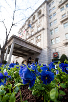 0006__12-7-25_Tishman-Speyer-Holiday-Brunch-Hay-Adams-Hotel-DC-Event-Photojournalism-photography