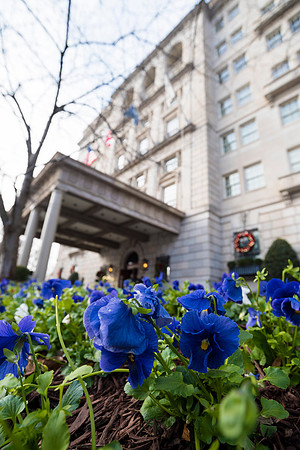 0006__12-7-25_Tishman-Speyer-Holiday-Brunch-Hay-Adams-Hotel-DC-Event-Photojournalism-photography