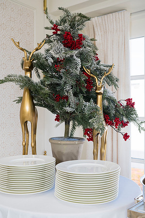 0037__12-7-25_Tishman-Speyer-Holiday-Brunch-Hay-Adams-Hotel-DC-Event-Photojournalism-photography