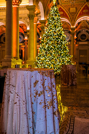 0136__12-12-25_2025-Bain-&-Company-Holiday-Party-Library-of-Congress-DC-Event-Photojournalism-photography