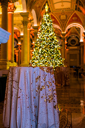 0137__12-12-25_2025-Bain-&-Company-Holiday-Party-Library-of-Congress-DC-Event-Photojournalism-photography