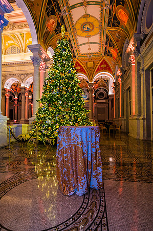 0143__12-12-25_2025-Bain-&-Company-Holiday-Party-Library-of-Congress-DC-Event-Photojournalism-photography