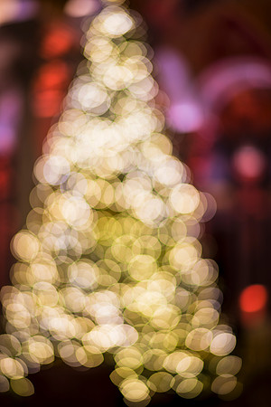 0149__12-12-25_2025-Bain-&-Company-Holiday-Party-Library-of-Congress-DC-Event-Photojournalism-photography