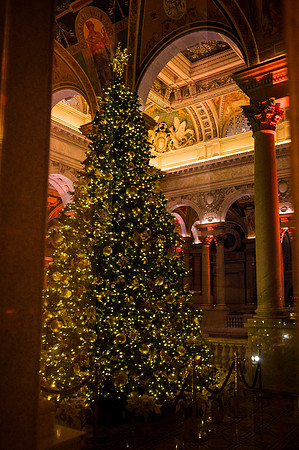 0146__12-12-25_2025-Bain-&-Company-Holiday-Party-Library-of-Congress-DC-Event-Photojournalism-photography