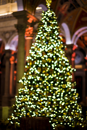 0147__12-12-25_2025-Bain-&-Company-Holiday-Party-Library-of-Congress-DC-Event-Photojournalism-photography