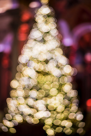 0152__12-12-25_2025-Bain-&-Company-Holiday-Party-Library-of-Congress-DC-Event-Photojournalism-photography