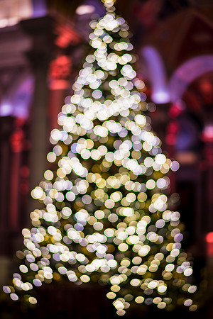 0151__12-12-25_2025-Bain-&-Company-Holiday-Party-Library-of-Congress-DC-Event-Photojournalism-photography