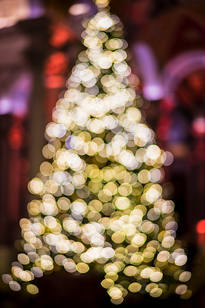 0150__12-12-25_2025-Bain-&-Company-Holiday-Party-Library-of-Congress-DC-Event-Photojournalism-photography