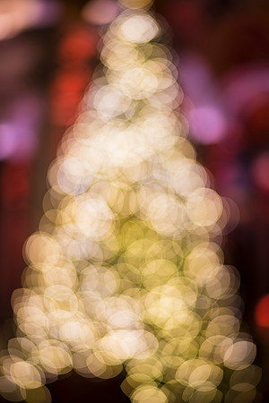 0153__12-12-25_2025-Bain-&-Company-Holiday-Party-Library-of-Congress-DC-Event-Photojournalism-photography