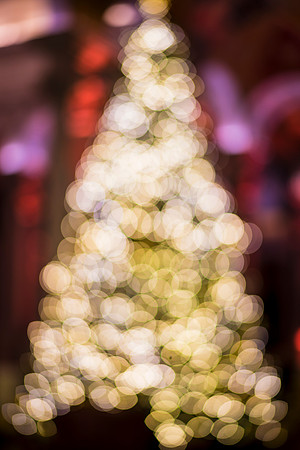 0154__12-12-25_2025-Bain-&-Company-Holiday-Party-Library-of-Congress-DC-Event-Photojournalism-photography