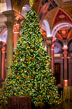 0156__12-12-25_2025-Bain-&-Company-Holiday-Party-Library-of-Congress-DC-Event-Photojournalism-photography
