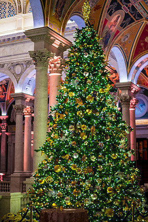 0157__12-12-25_2025-Bain-&-Company-Holiday-Party-Library-of-Congress-DC-Event-Photojournalism-photography