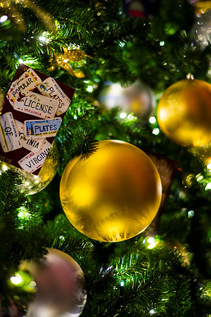 0172__12-12-25_2025-Bain-&-Company-Holiday-Party-Library-of-Congress-DC-Event-Photojournalism-photography