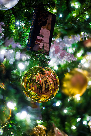 0173__12-12-25_2025-Bain-&-Company-Holiday-Party-Library-of-Congress-DC-Event-Photojournalism-photography