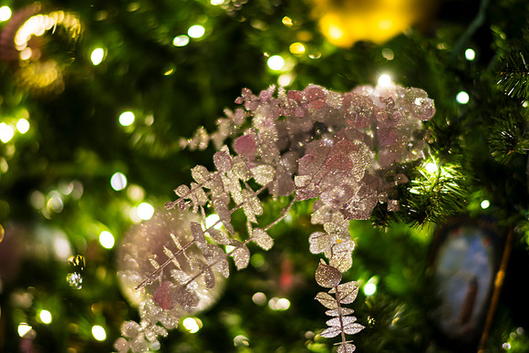 0174__12-12-25_2025-Bain-&-Company-Holiday-Party-Library-of-Congress-DC-Event-Photojournalism-photography