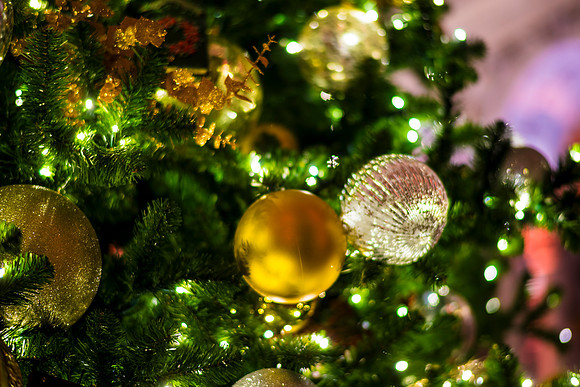 0175__12-12-25_2025-Bain-&-Company-Holiday-Party-Library-of-Congress-DC-Event-Photojournalism-photography